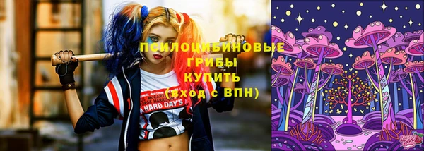 ALPHA PVP Баксан